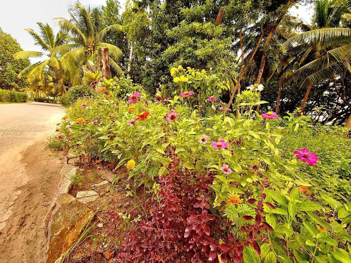 Le Nid De Bea Self-Catering Apartments La Digue Exteriör bild